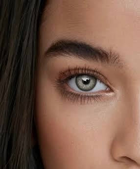 Gris verdoso Brunei Fresh