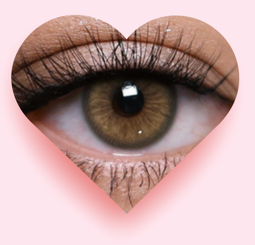 Café Roble Amber Fantasy