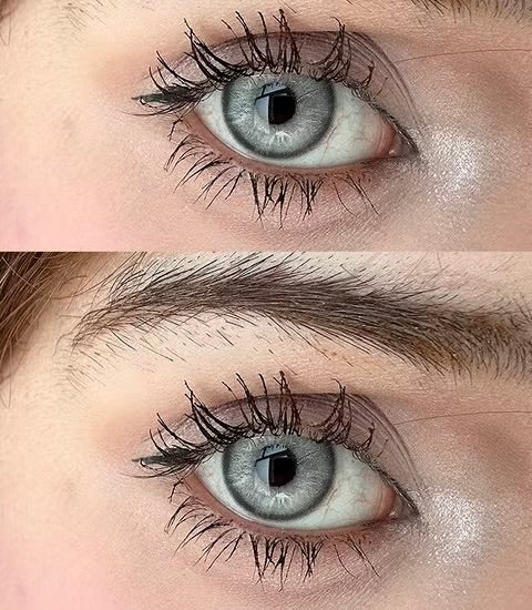 Gris verdoso Brunei Fresh